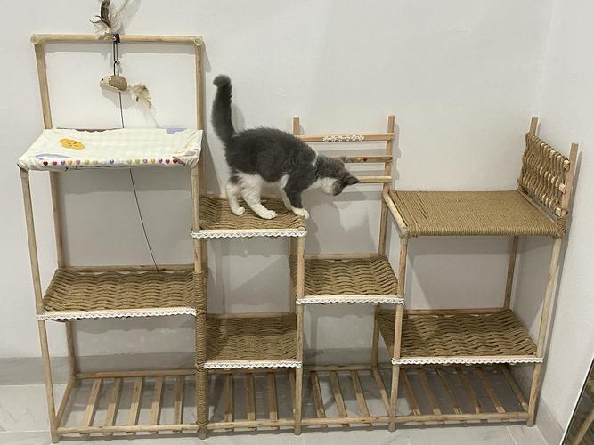 自制花架猫爬架 巧手打造爱宠的绿色乐园