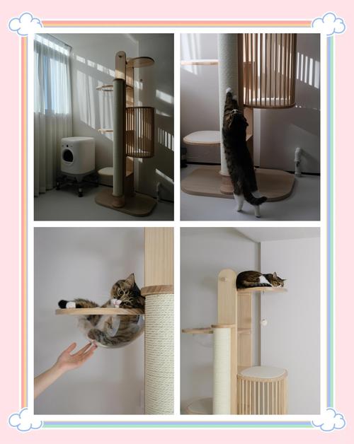阳台猫爬架选购心得 实木材质的精致选择