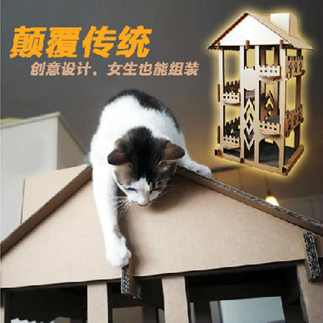田田猫猫爬架 你家的萌宠值得更多空间与乐趣