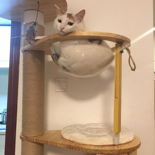 自制某凯款猫爬架 从零开始的猫咪乐园搭建记